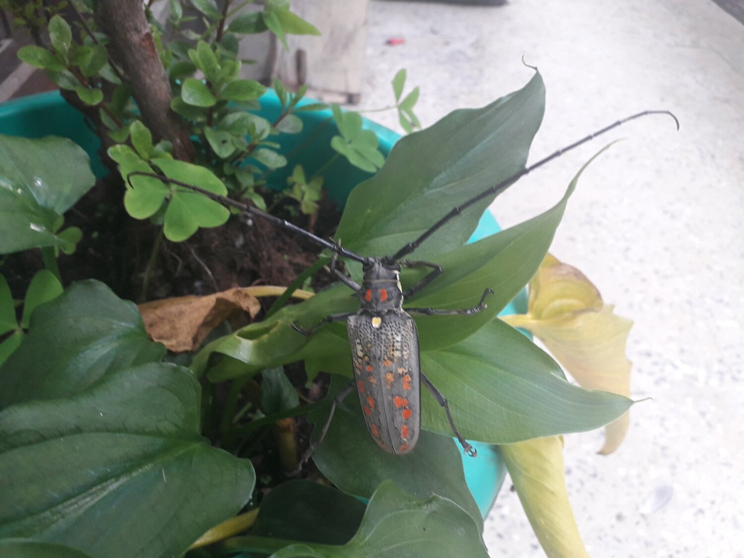 Photo #4795341