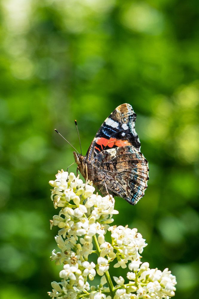 Photograph by Александр Шевченко