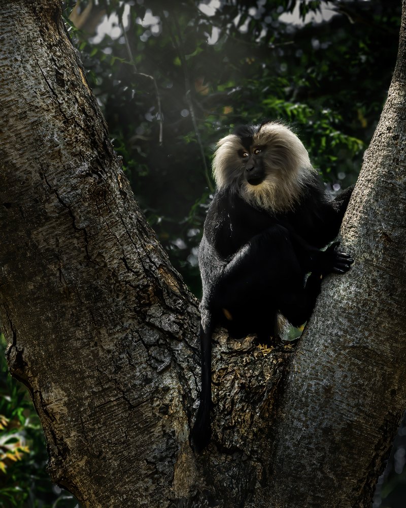 Photograph by NAVONILOY BHAUMIK