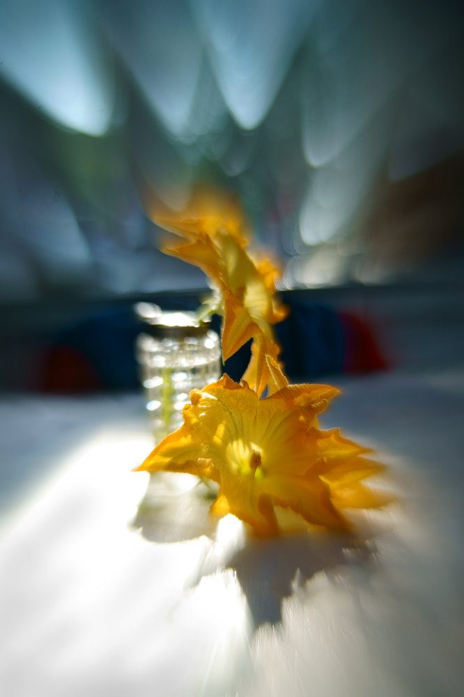 Photograph by Ольга Аристова