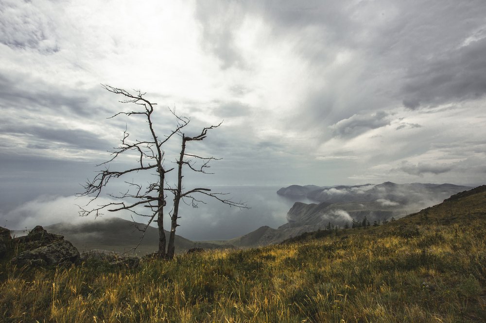 Фотография автора Андрей Логвинович