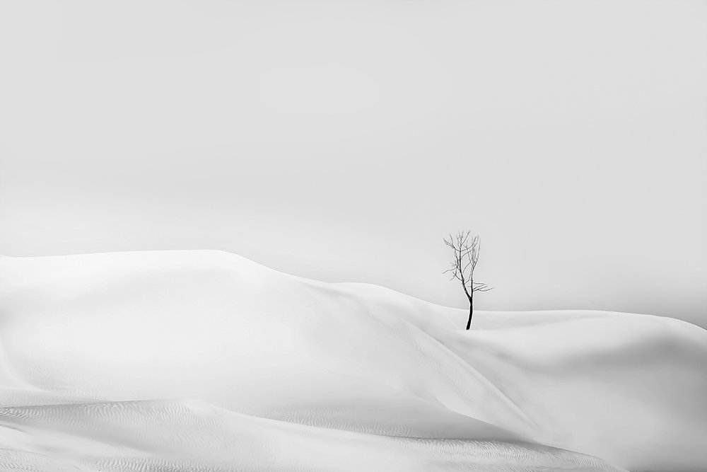 Photograph by Amal Alameer