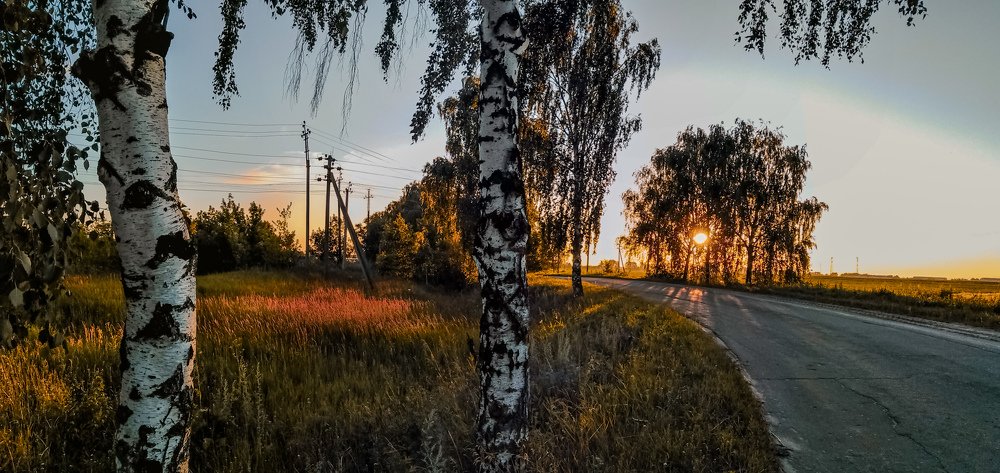 Photo #4795498