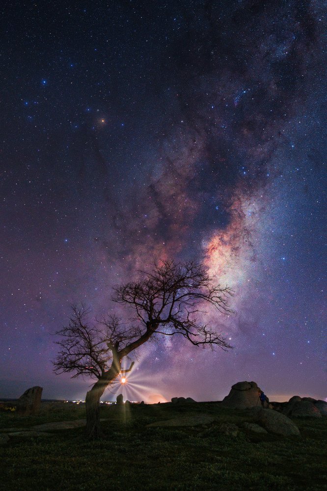 Photograph by Bryan Vu