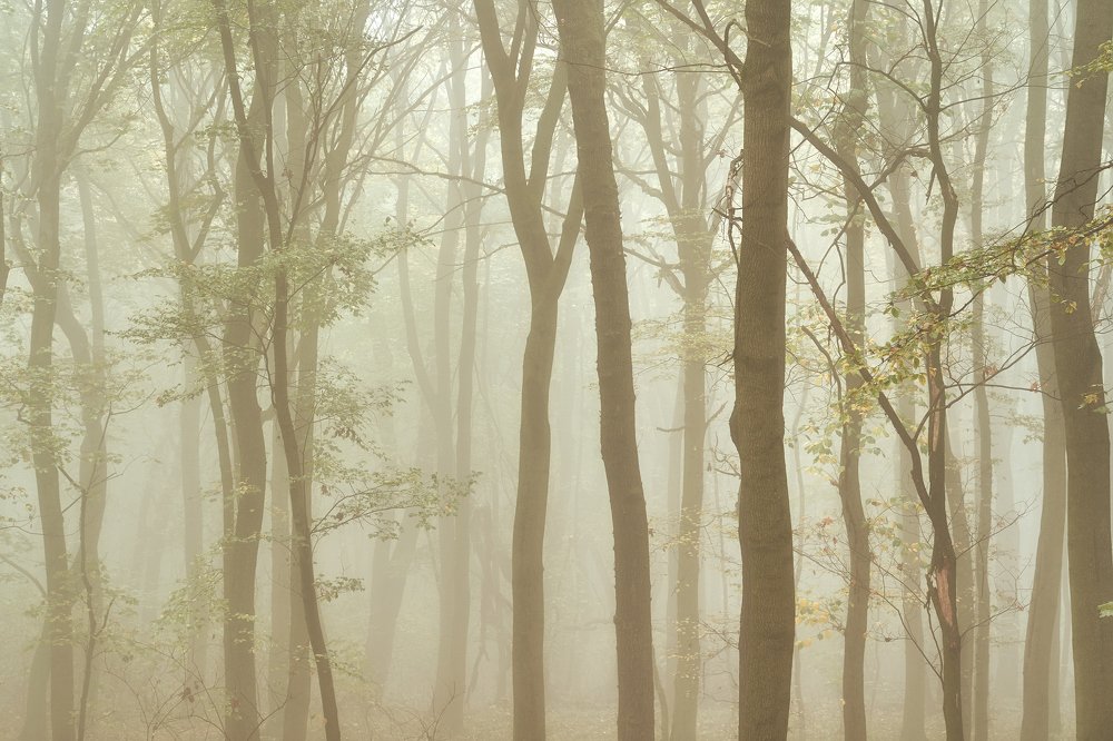 Photograph by Tomas Haluska