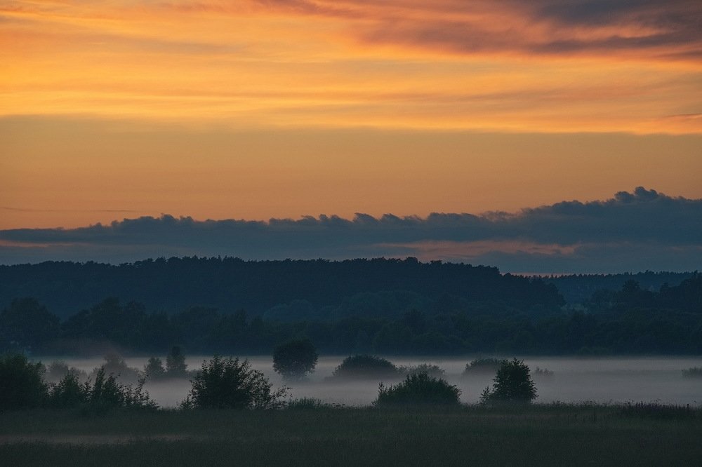 Photograph by Александр Соловьев