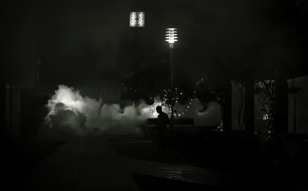 Photograph by Mona Singh