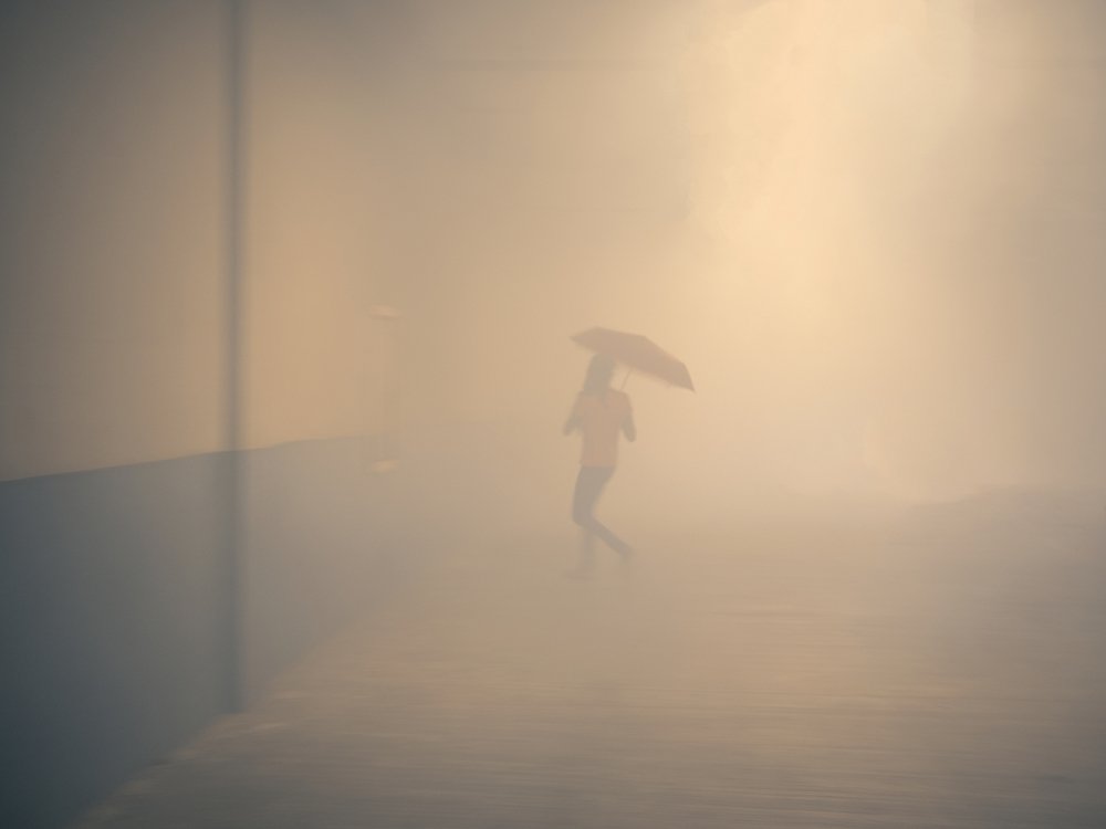 Photograph by Mona Singh