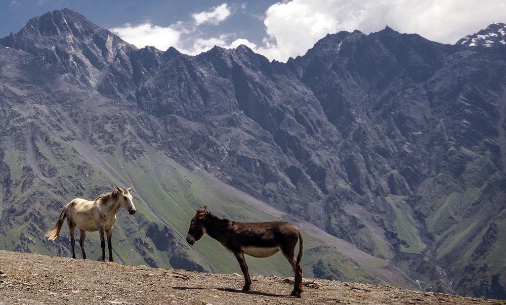 Photograph by Alex Kalpus