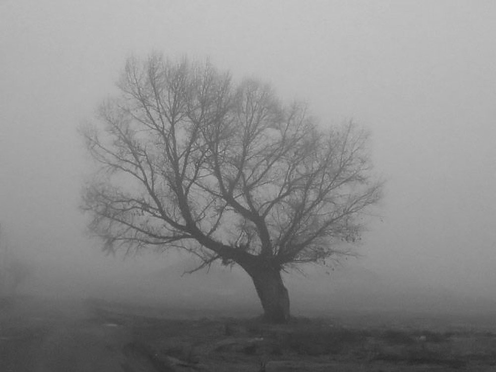 Photograph by Anna Gancheva