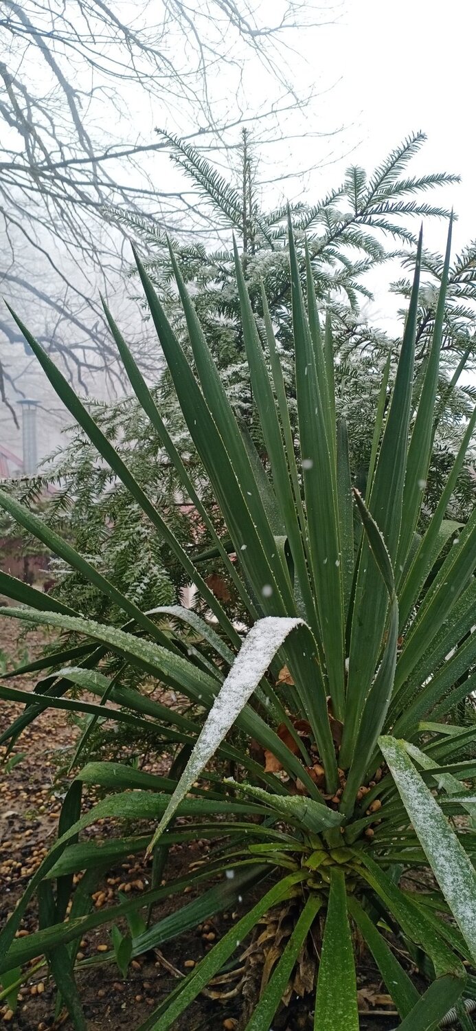 Photo #4795727