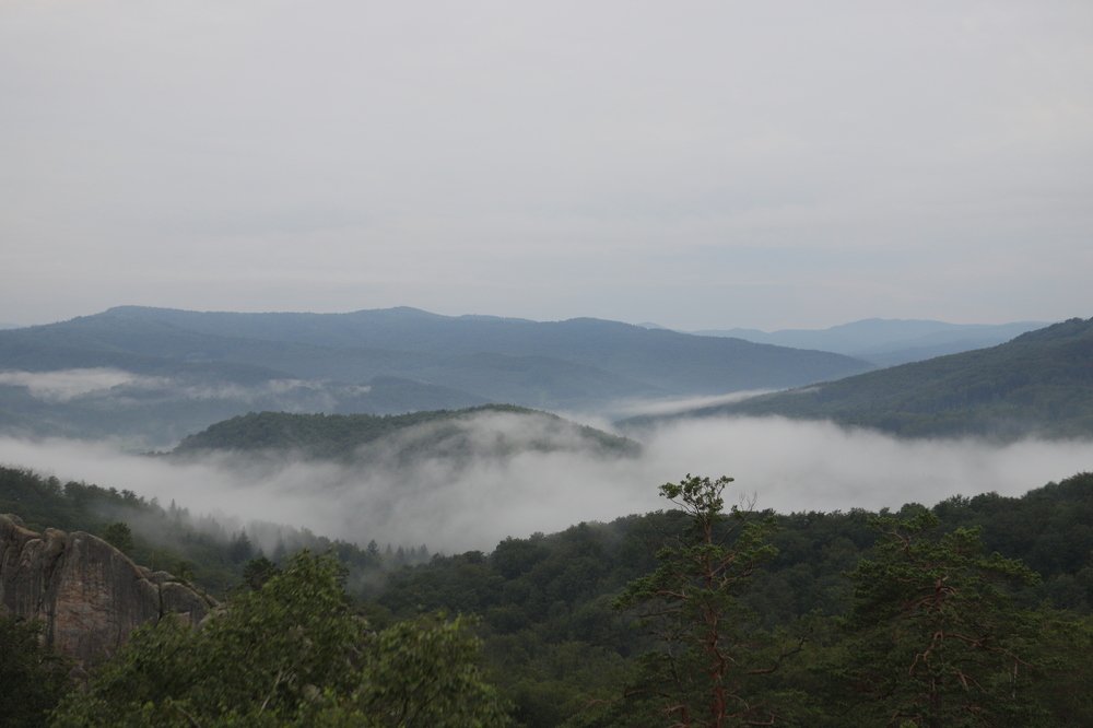 Photograph by Андрей Телибаев