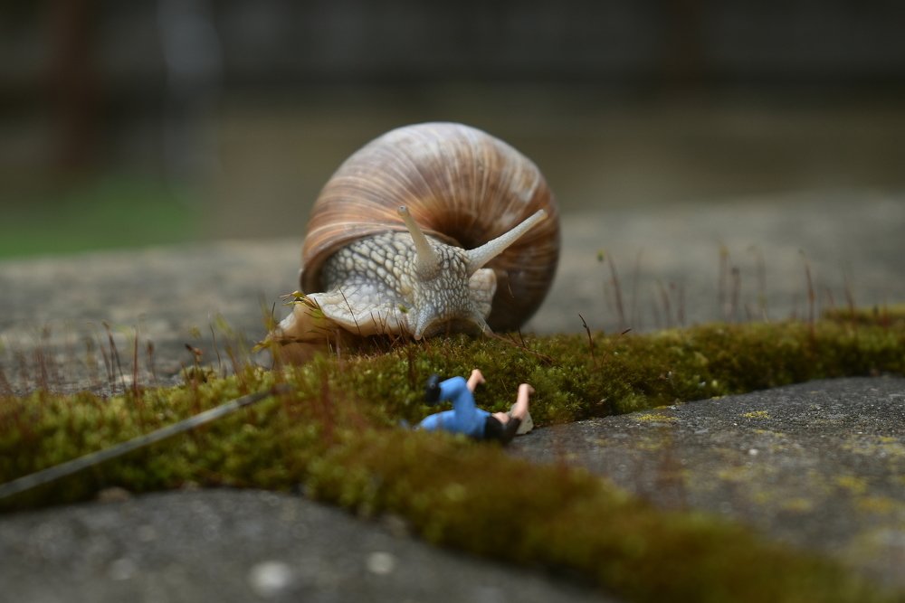 Мелкие люди