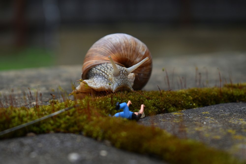 Размер имеет значение!