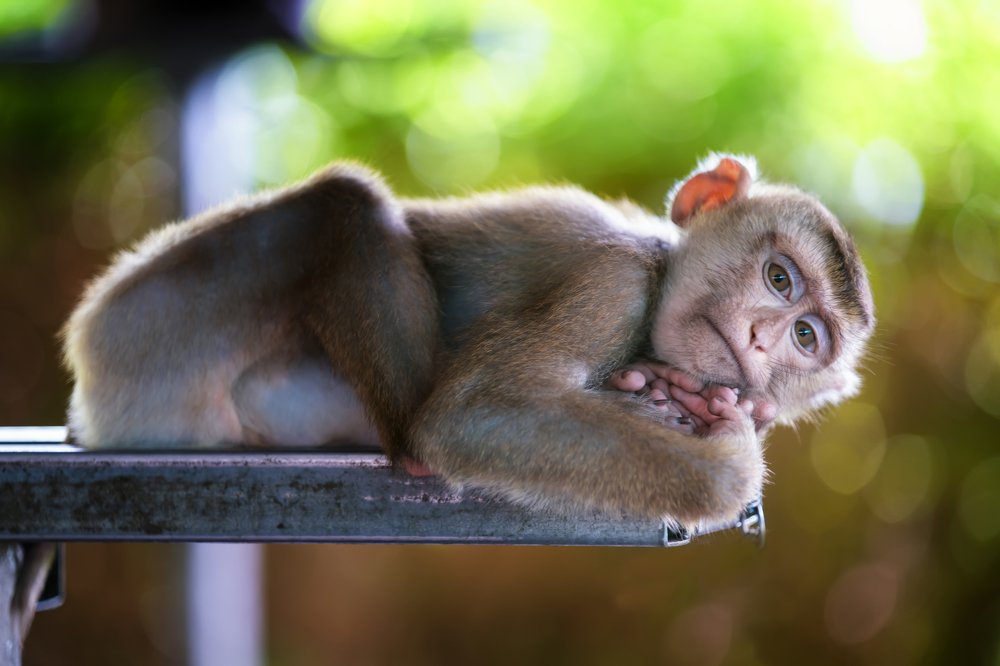 Photograph by Merthan kortan