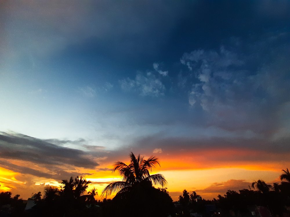 Photograph by Subhasish Majumder