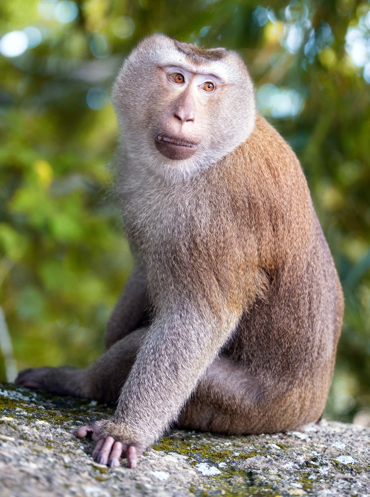 Photograph by Merthan kortan