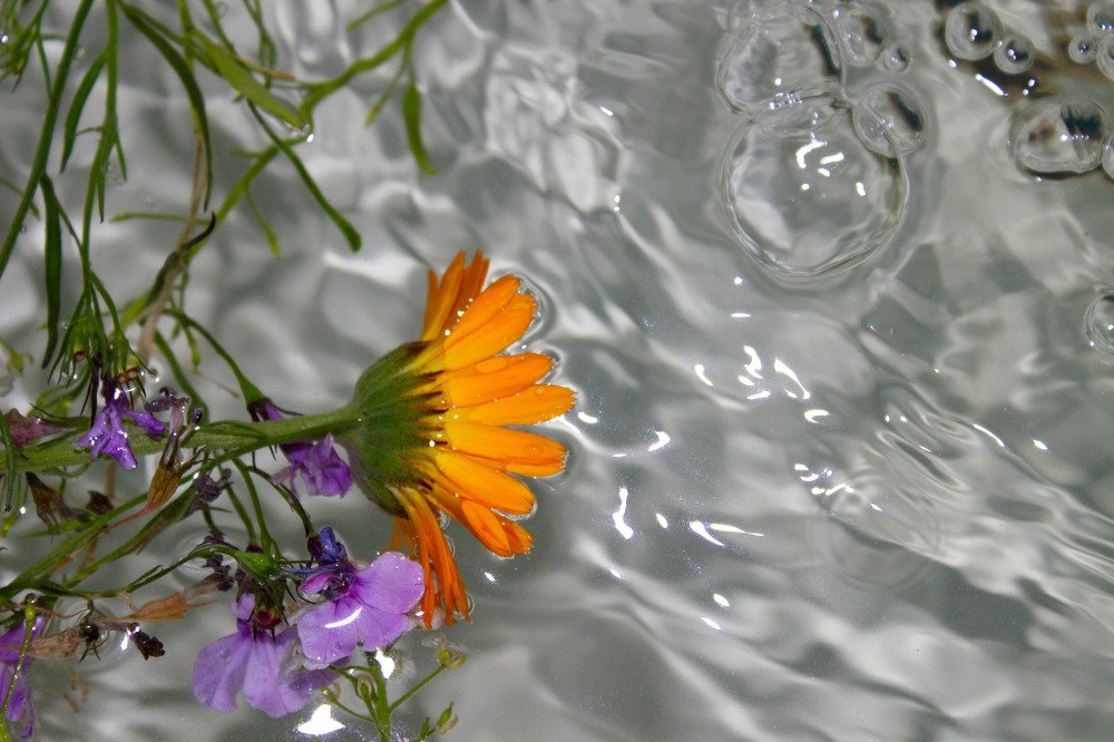 Photograph by Татьяна Решетова