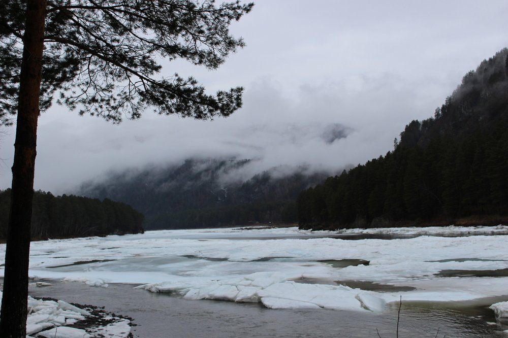 Photograph by Татьяна Решетова