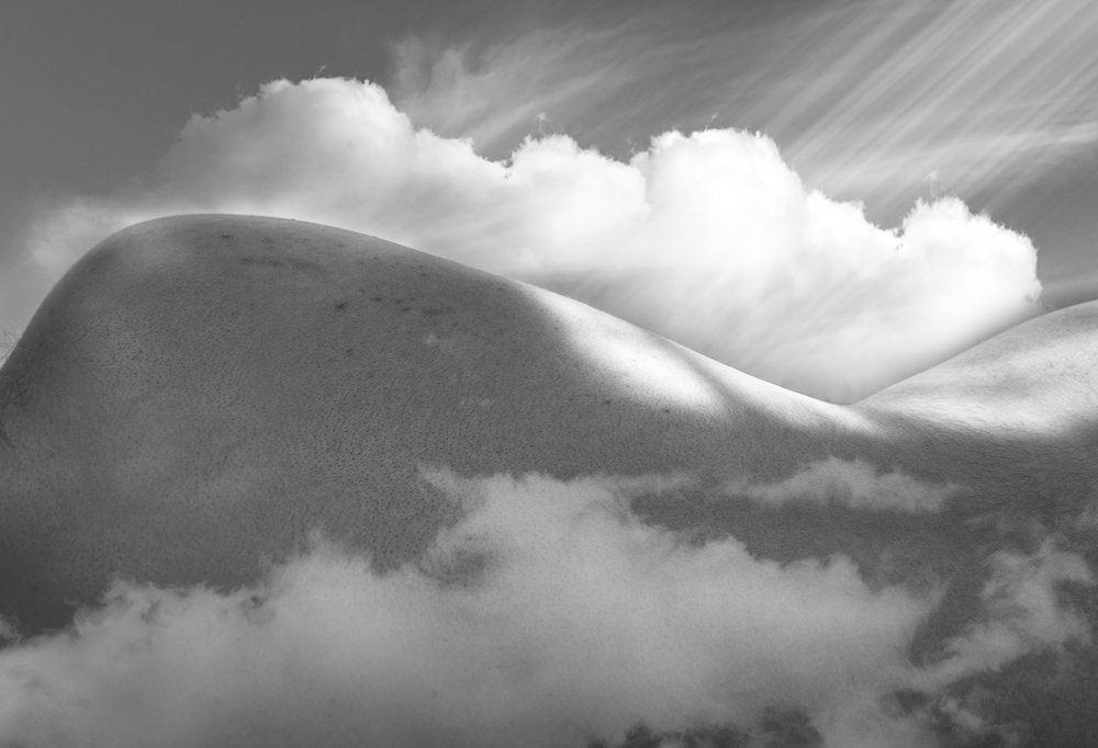 Photograph by Samira Alaei