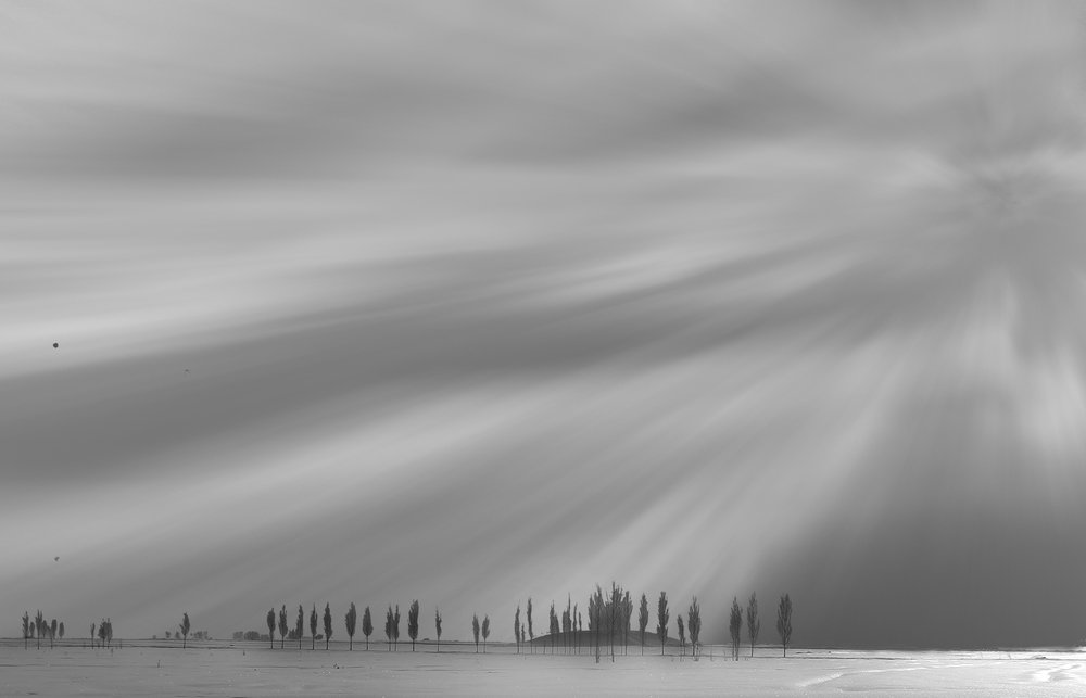 Photograph by Samira Alaei