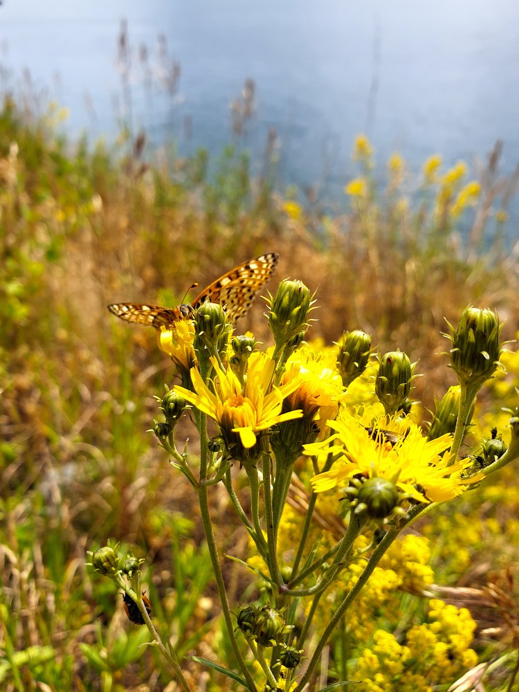 Photograph by Татьяна Лышенко