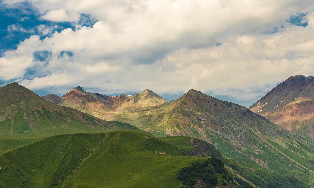 Photograph by Alex Kalpus