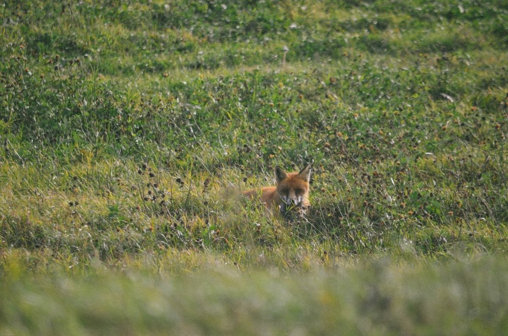Photograph by игорь герасимовский
