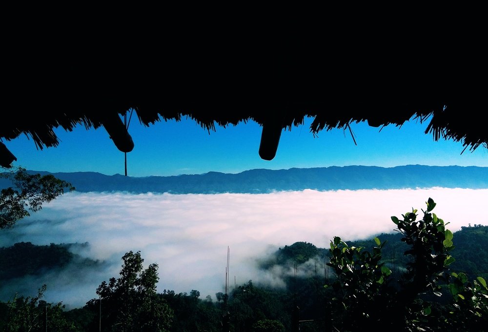 Photograph by Suresh Paul