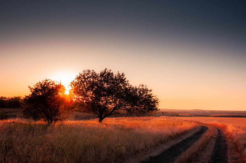 Photograph by Дмитрий Федорченко
