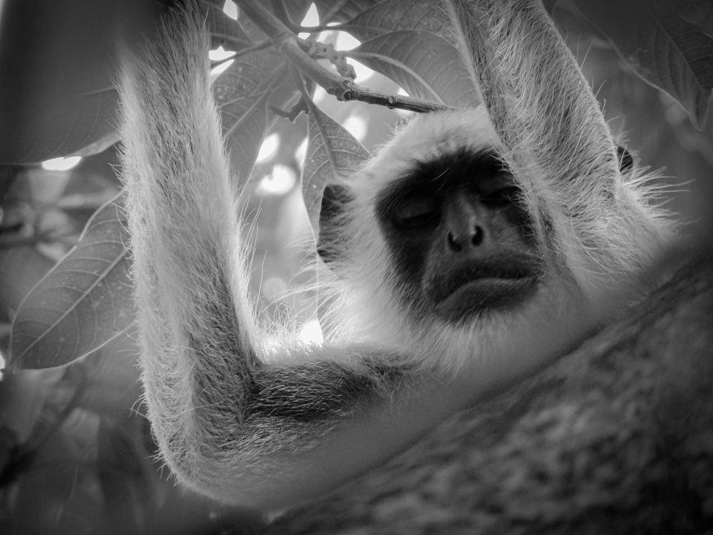 Photograph by LAKHAN YADAV