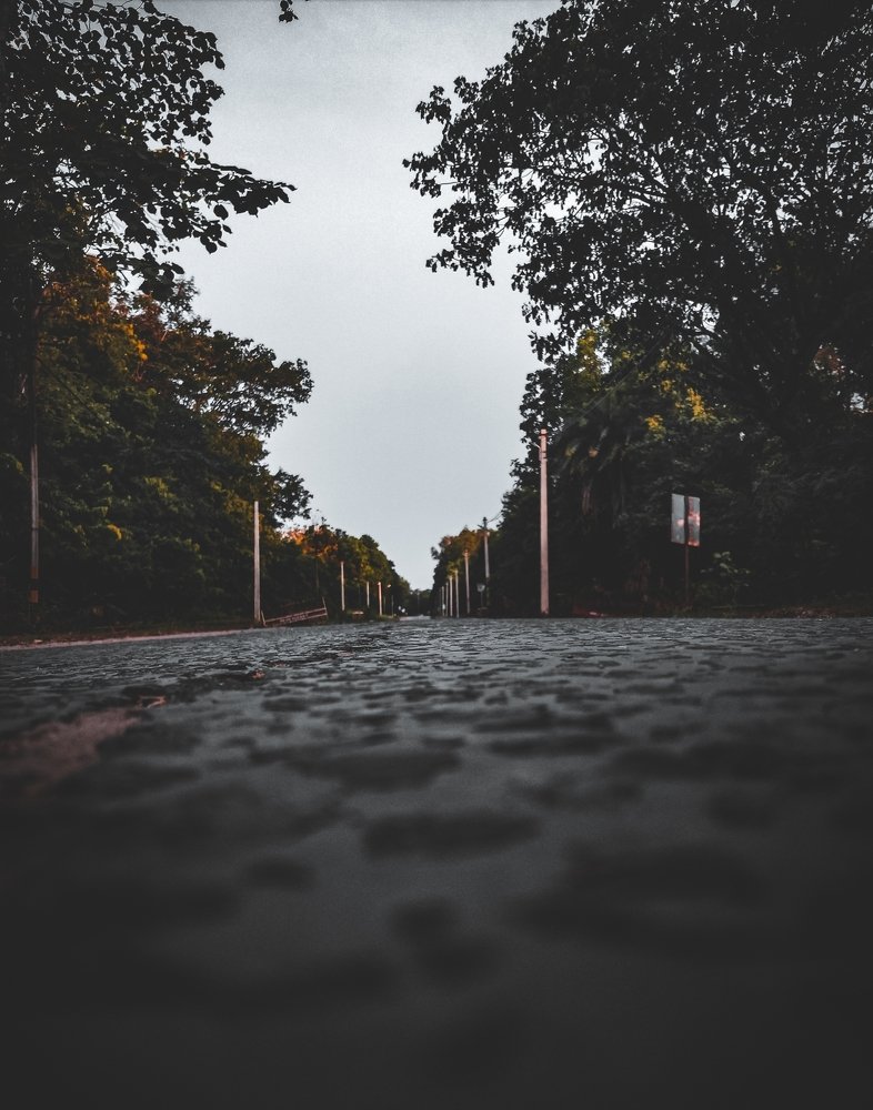 Photograph by Dibyaranjan Mohanty