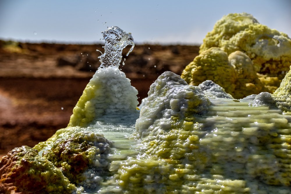 Photograph by Svetlana