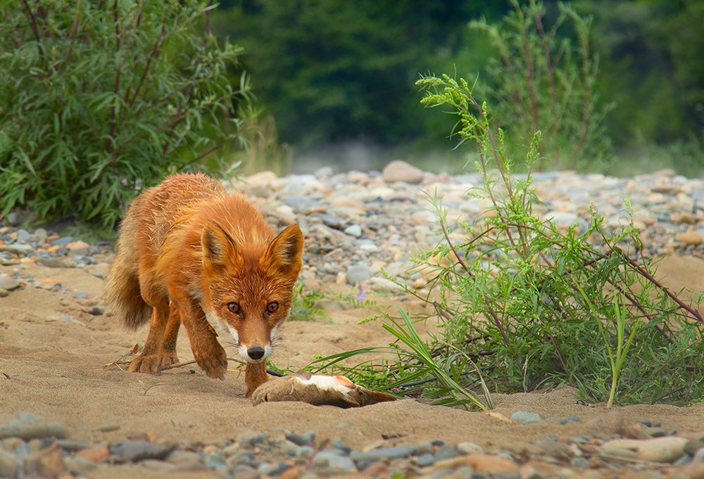 Photograph by Anton Shushpan