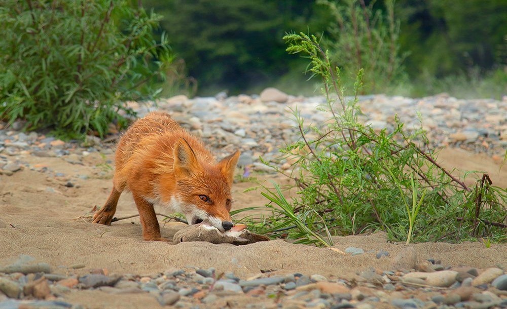 Photograph by Anton Shushpan