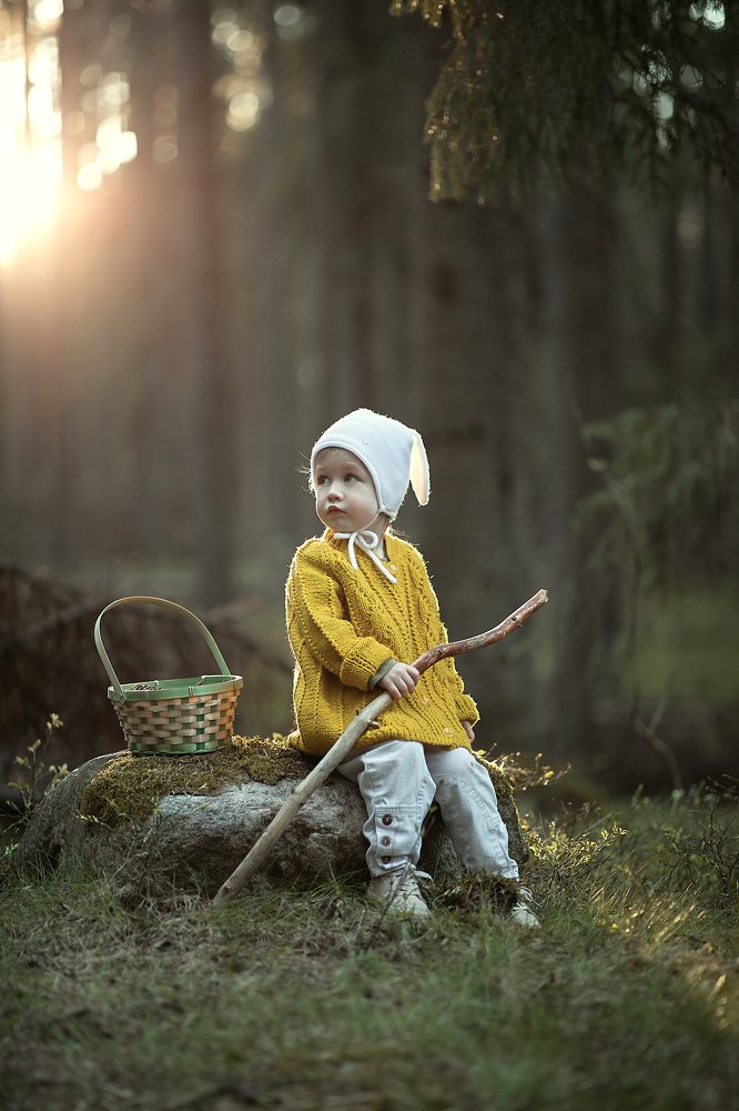 Bunny in the magic forest