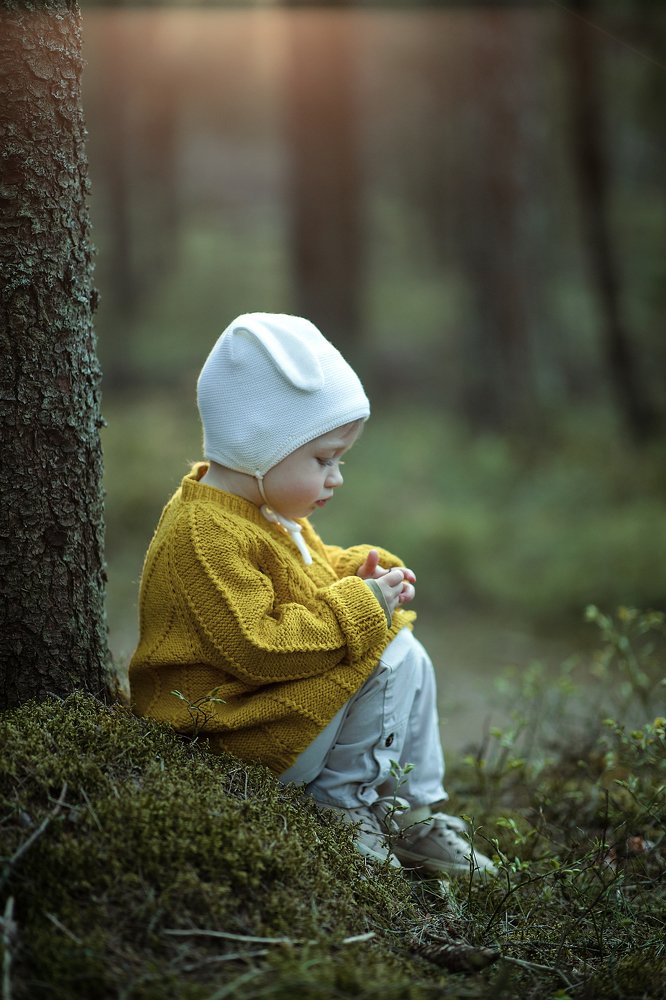 Bunny in the magic forest