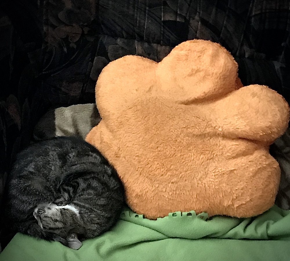 Photograph by Ольга Сафронова