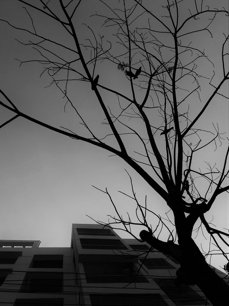 Photograph by Ahmed Imtiaj