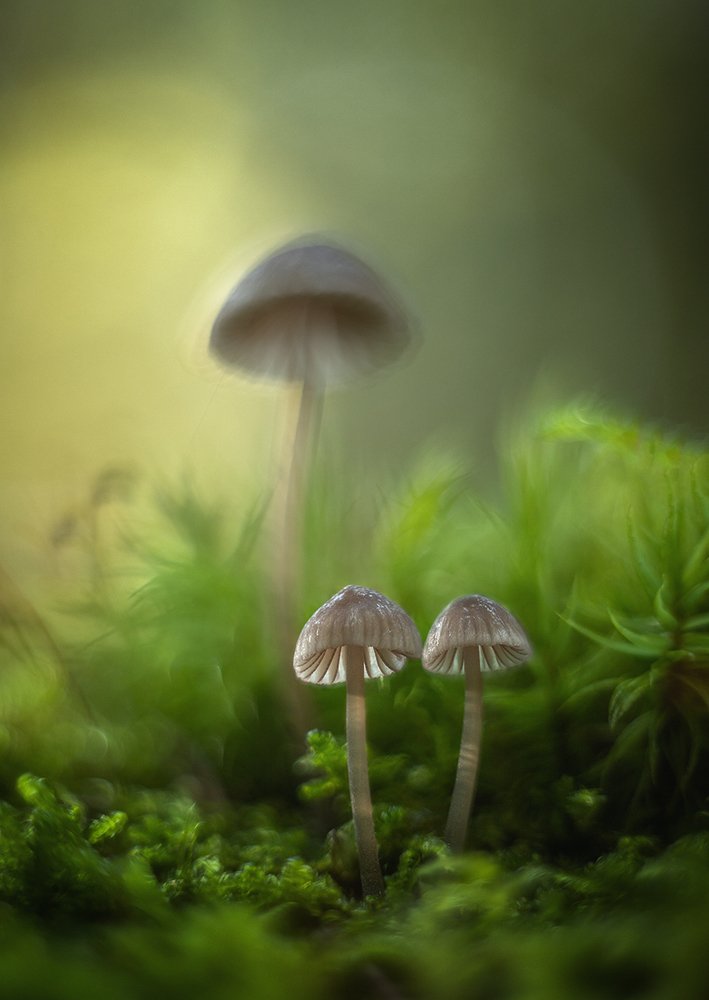 Photograph by Николай Андреев