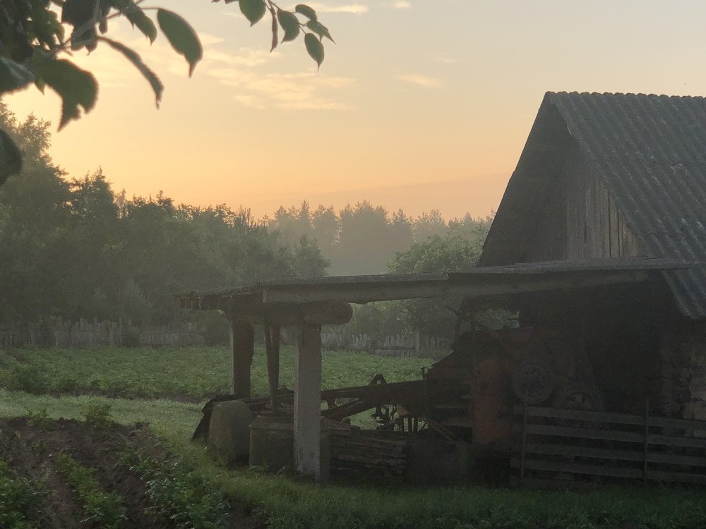 Фотография автора Наталья Васько -Черданцева