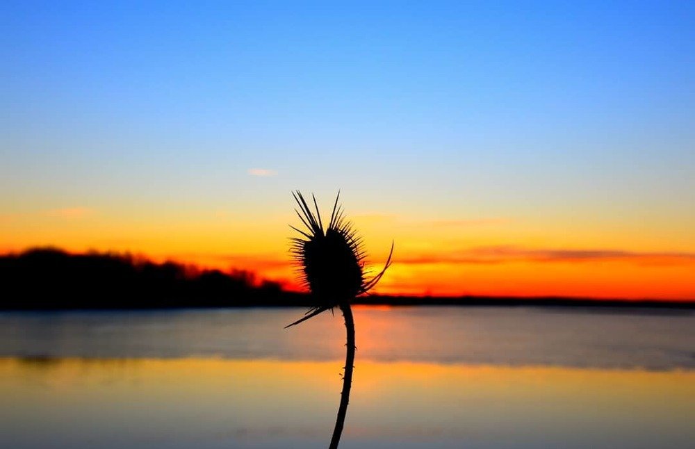 Photograph by Marijana