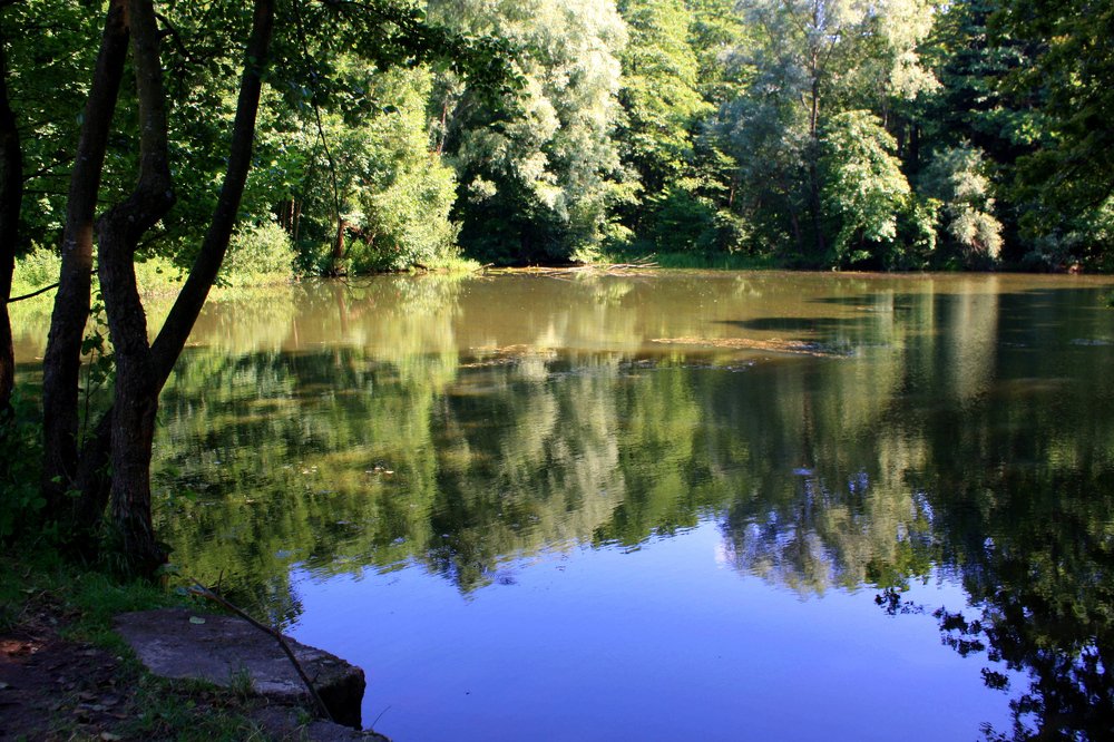 Photograph by Сергей Рапопорт