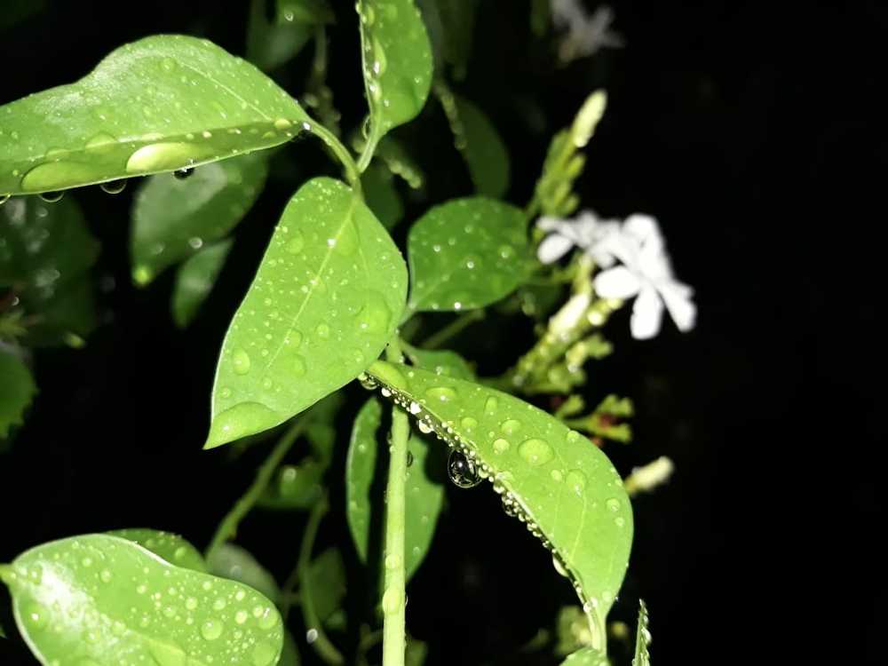 Photograph by Vipin verma