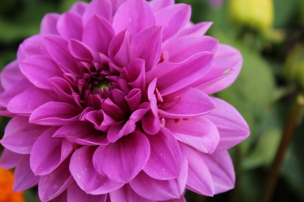 Photograph by Кристина Шоба