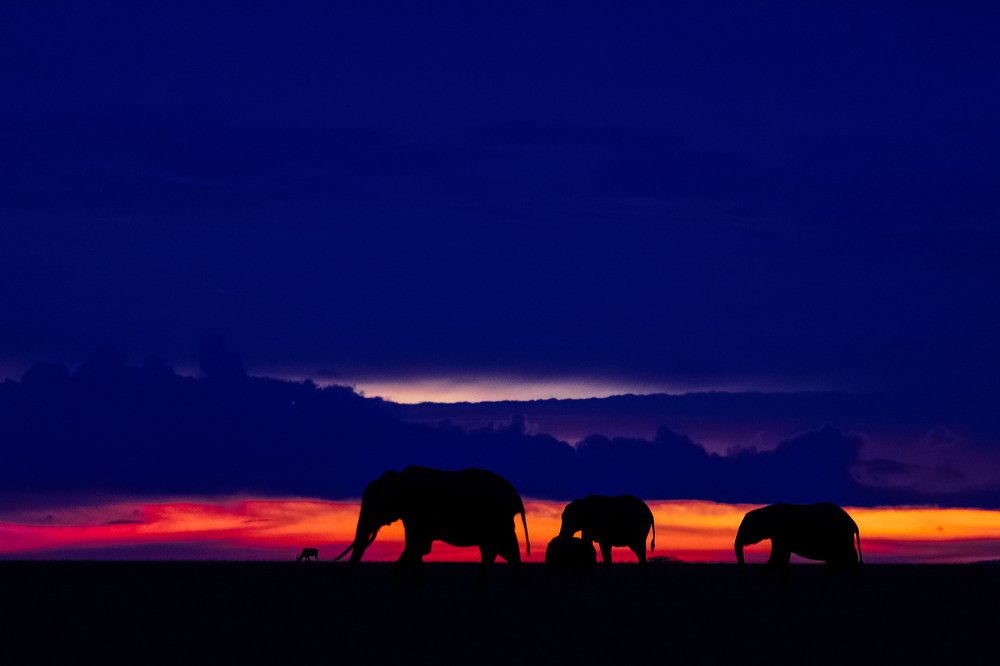 Photograph by Varun Thakkar