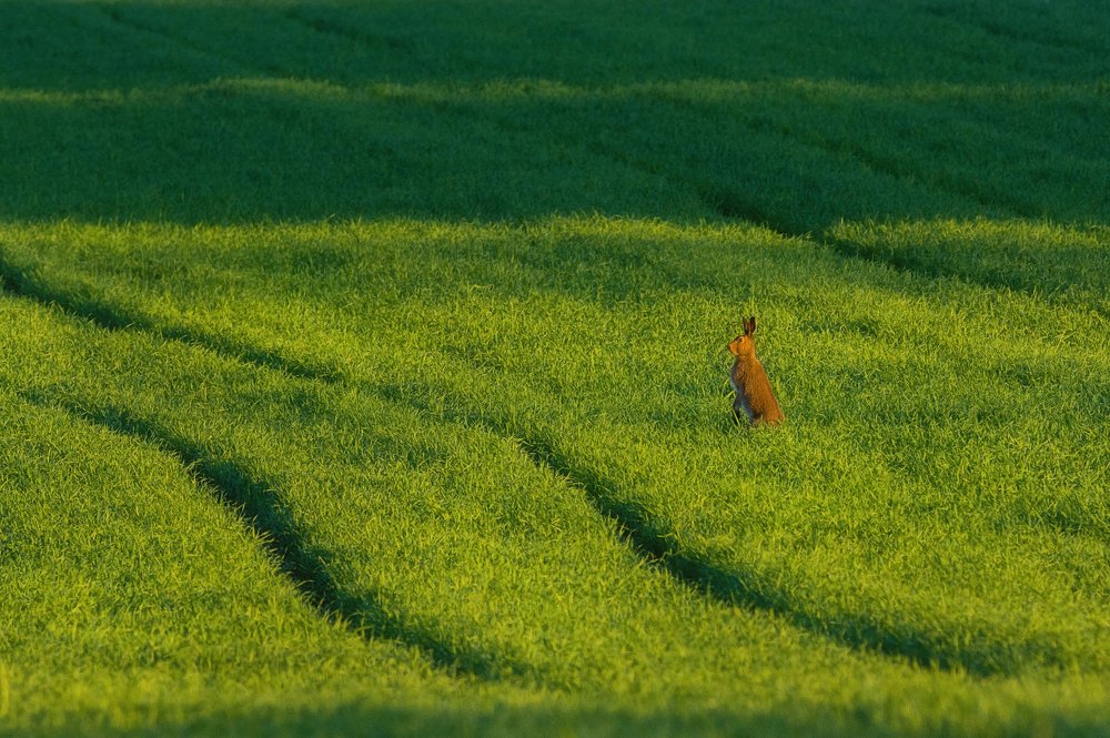 Photograph by Устюжанин Михаил