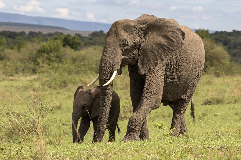 Photograph by Harsh Vyas