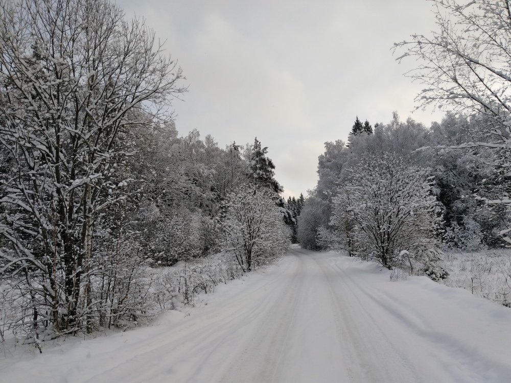 Photograph by Дарья