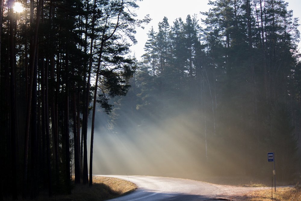Photograph by Igor Tseskidov